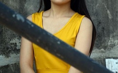 黄金罗盘有几部